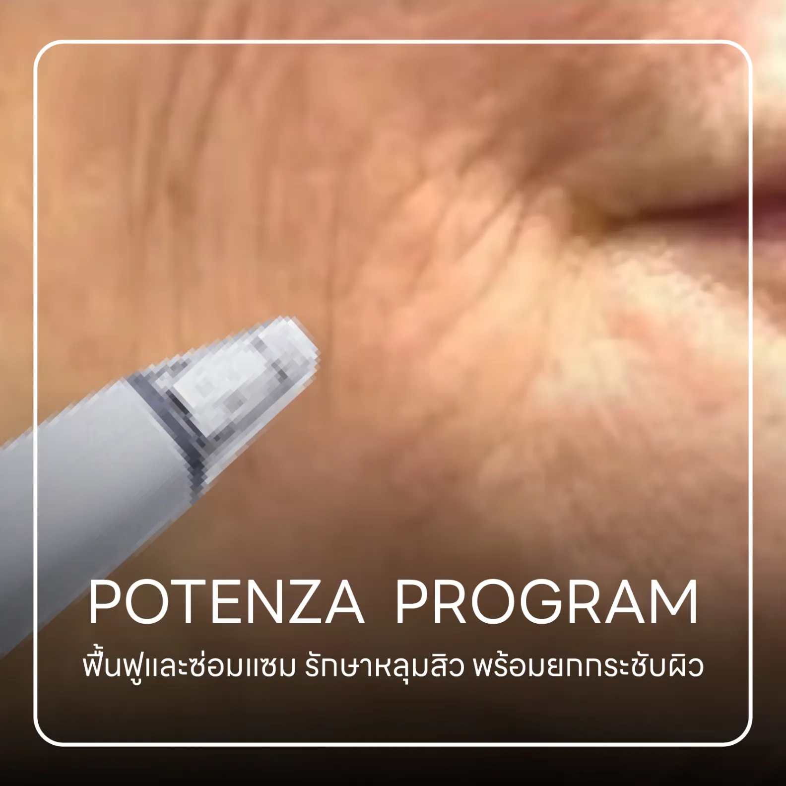 potenza โปรแกรม